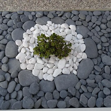 Falesias Da Arrifana Praia da Arrifana